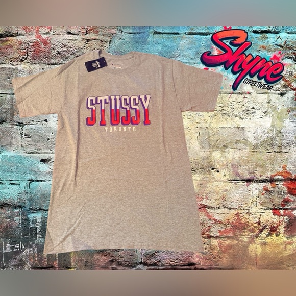 Toronto Stussy  Champion collab  Gray Men's T-Shirt - Picture 1 of 3